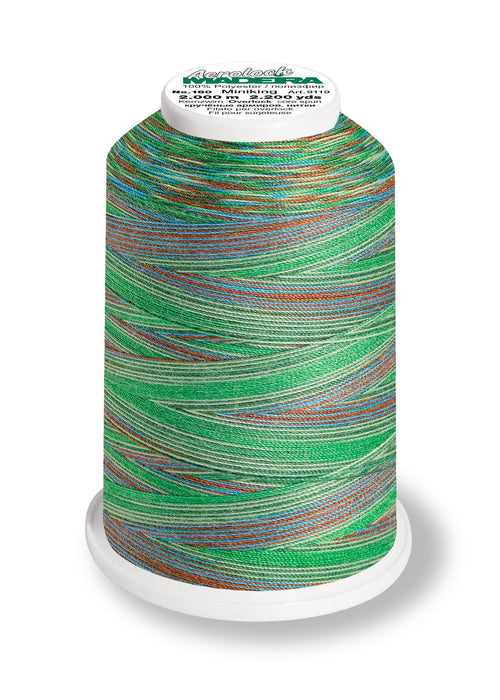Madeira Aerolock 125 | Polyester Serger Sewing-Construction Thread | Multicolor | 1320 Yards | 9118-9608 | Meadow