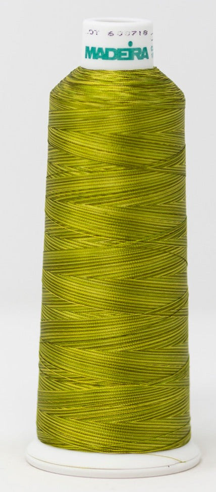 Madeira Thread Collection Madeira Rayon #40 | Machine Embroidery Thread | 5,500 Yards | Variegat ...