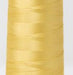 color 1270 rayon embroidery thread