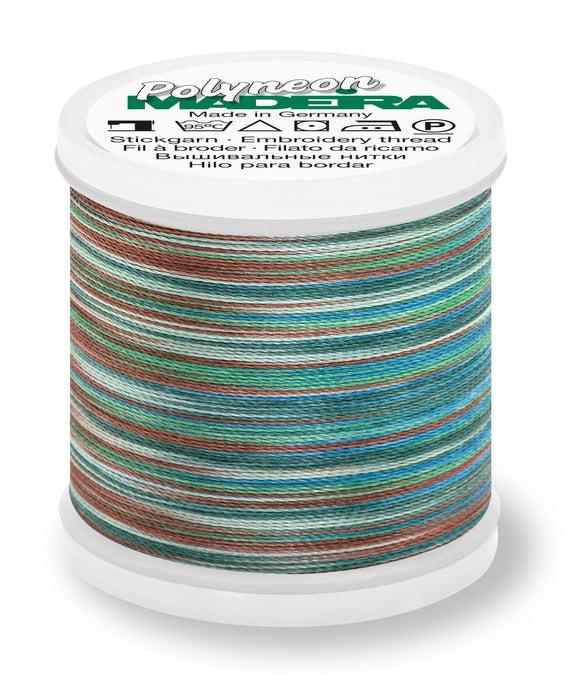 Madeira Polyneon 40 | Machine Embroidery Thread | Variegated | 220 Yards | 9845-1608 | Jungle