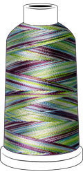 Madeira Rayon #40 Spools 1,100 yds - Color 2002