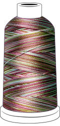 Madeira Rayon #40 Spools 1,100 yds - Color 2004