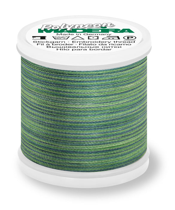 Madeira Polyneon 40 | Machine Embroidery Thread | Multicolor | 220 Yards | 9845-1509 | Forest Creek