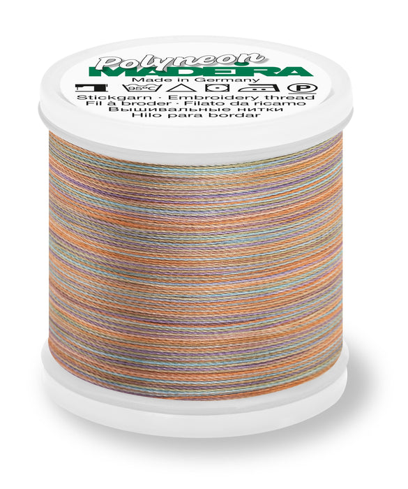 Madeira Polyneon 40 | Machine Embroidery Thread | Variegated | 220 Yards | 9845-1603 | Savanna