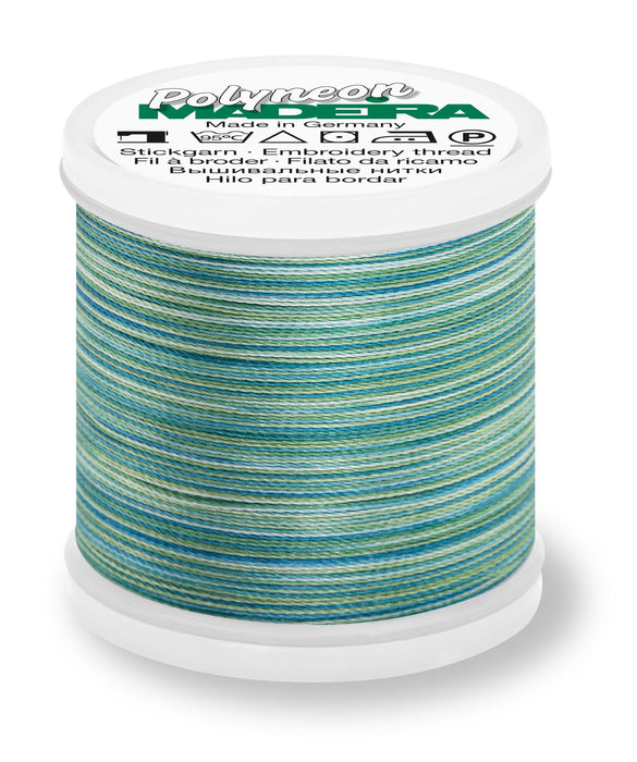 Madeira Polyneon 40 | Machine Embroidery Thread | Variegated | 220 Yards | 9845-1602 | Amazone